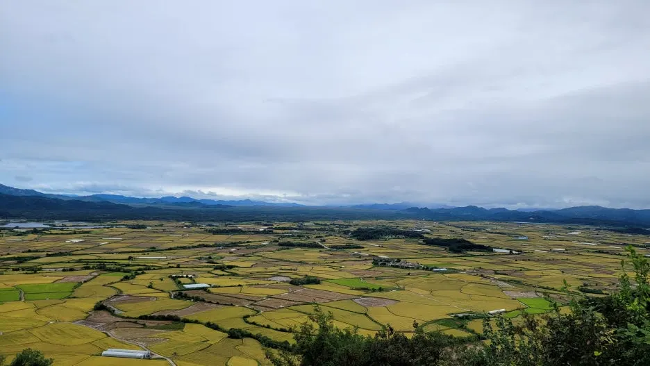 KakaoTalk_20250914_102147937_04.jpg?type=w1