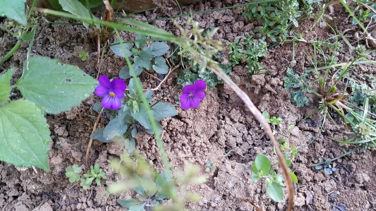 20150927_092936.jpg?type=w1