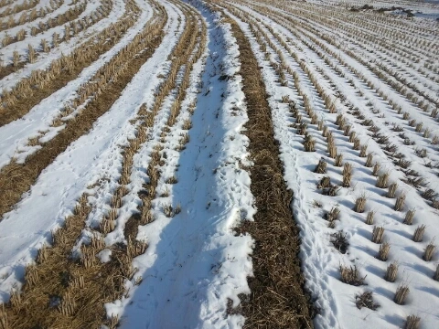 1387768448819_20131223_114932.jpg?type=w3