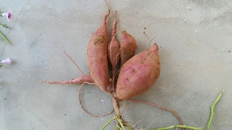 20150927_091152.jpg?type=w1