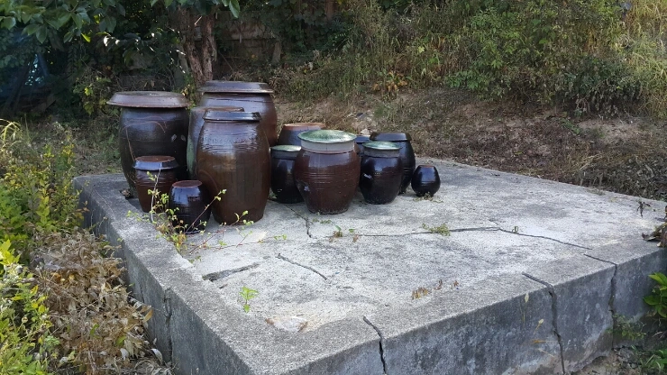 20150927_092910.jpg?type=w1