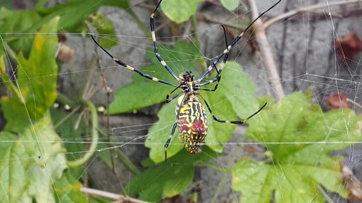 20150927_093340.jpg?type=w1