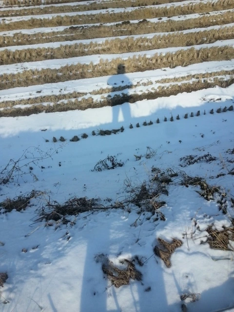 1387768449820_20131223_115645.jpg?type=w3