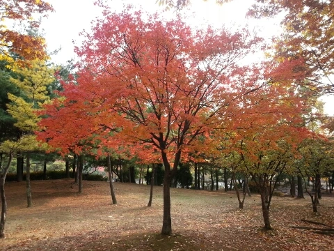 1383476814357_20131103_132730.jpg?type=w1