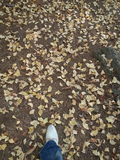 1383476815060_20131103_134042.jpg?type=w1