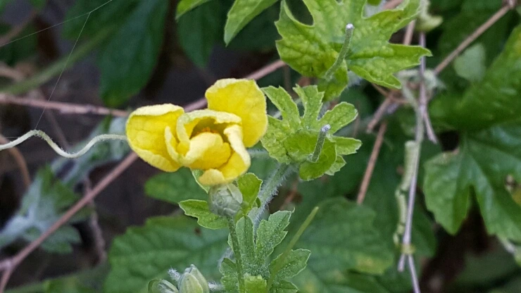 20150927_093208.jpg?type=w1