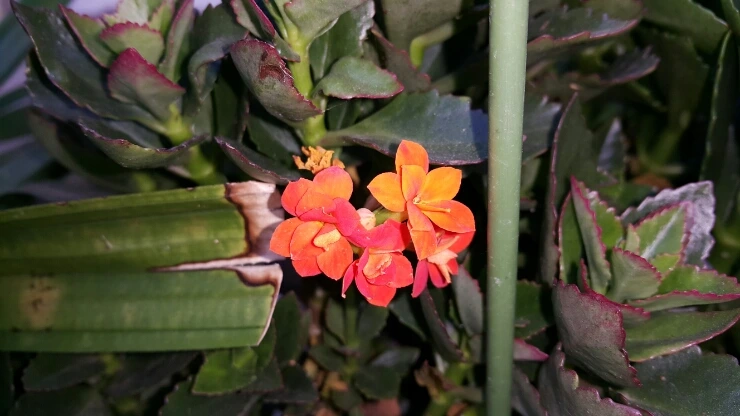 20150927_115859.jpg?type=w1