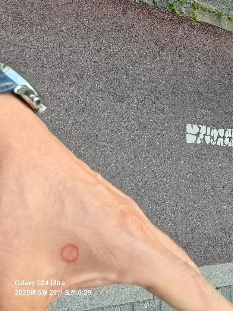 900%EF%BC%BF20250529%EF%BC%BF062943.jpg?type=w773