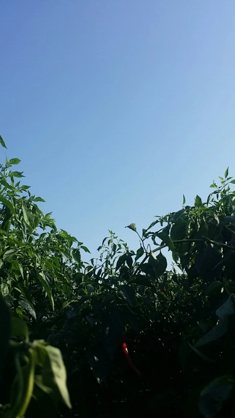 1412405559830_20141004_152939.jpg?type=w1