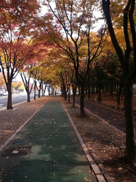 1383476813167_20131103_131400.jpg?type=w1