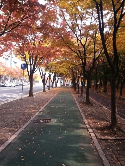 1383476812142_20131103_131359.jpg?type=w1