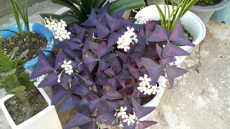 20150927_115913.jpg?type=w1