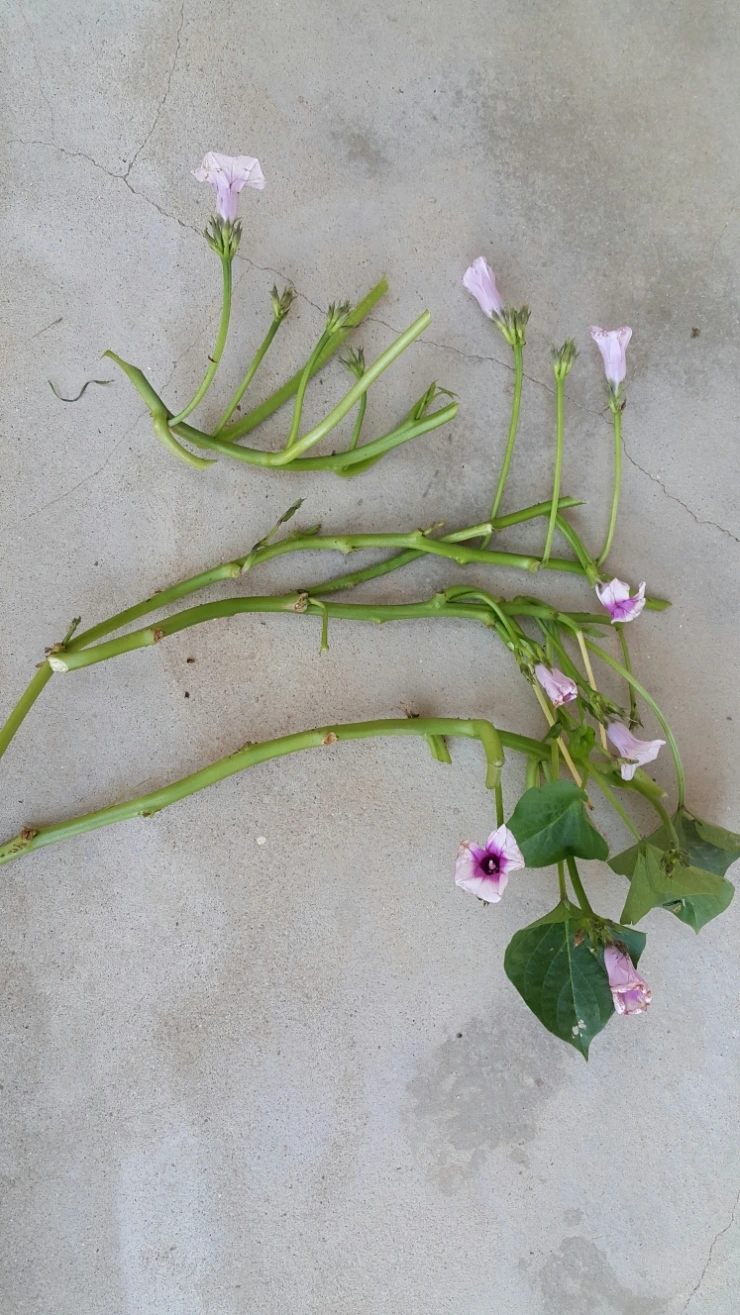 20150927_091140.jpg?type=w1