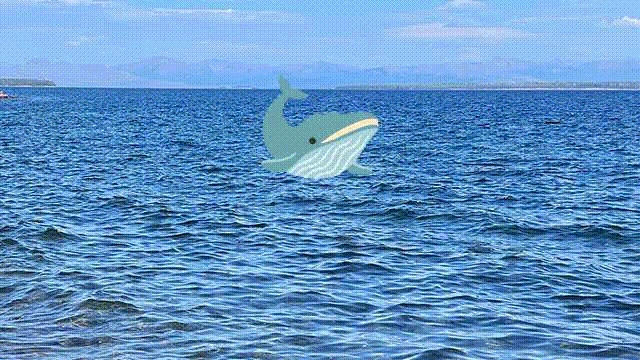 v28zEKCtbPwpVZvZS2W-0s3dhteCGV5mgthSmMnyxemxZhfPiF9C4v5wzO9_-oXjga61-KTVQ0ykFWal_d4Ayf-cWAvuXv7PgSaMRglGncgV14fs5mcEWFYdVNy-43OyWvze-d8aEKT3iv9s75ka2ow