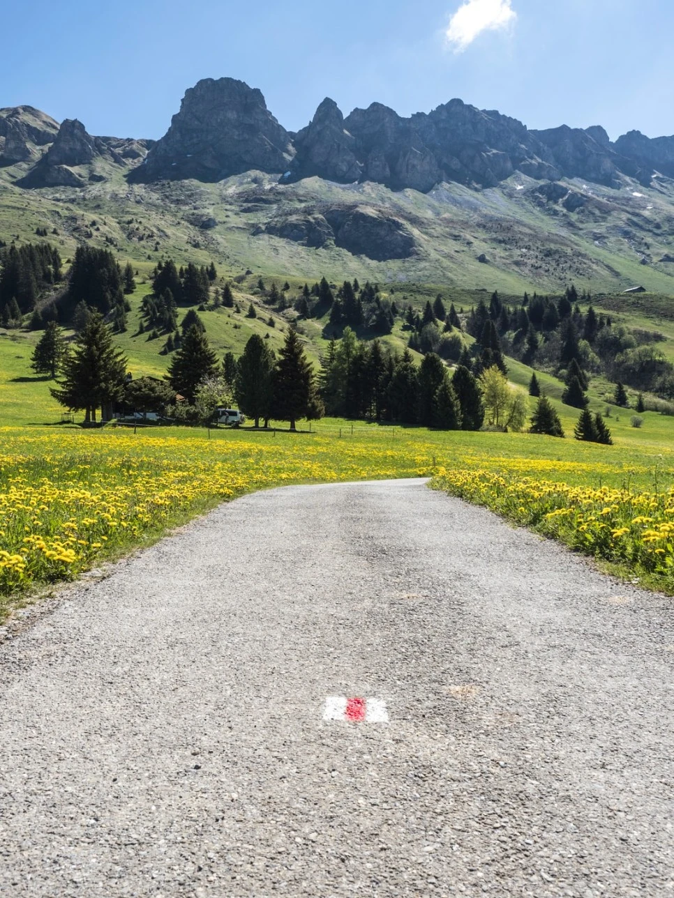 photo-1591458025108-887ce39218fa.jpg?type=w966