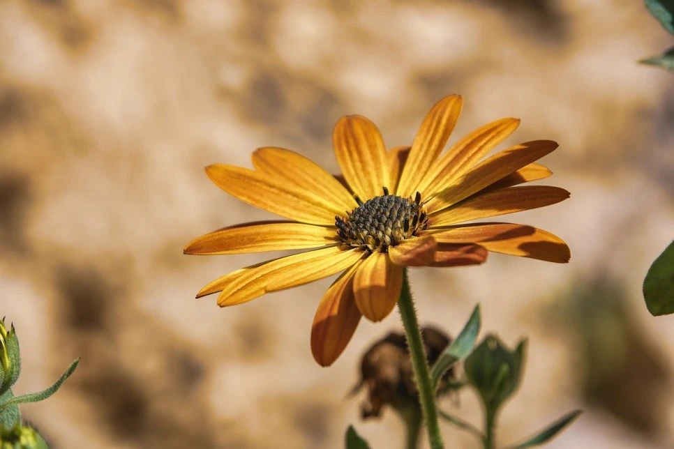 g754f14edf1e9520fc4030d2a73d18b6f4c951afde9be5344f64597ef58f2cb554fd48a2f319.jpg?type=w966