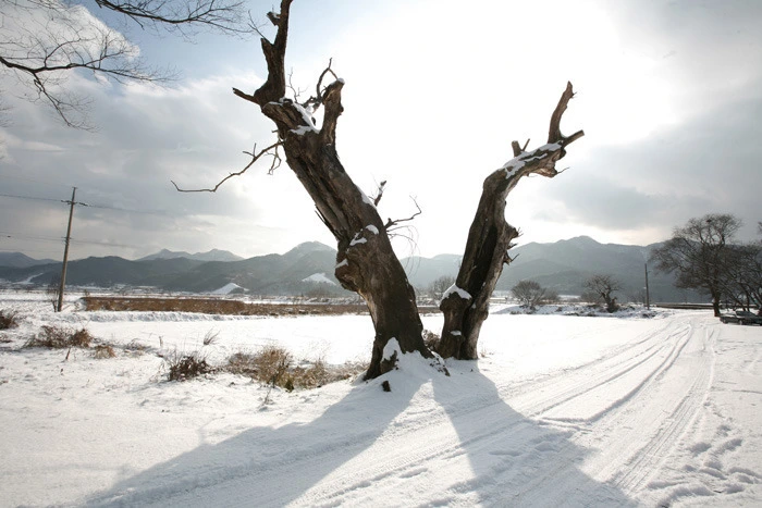 65e6f378107efdde95bb13008db2430efa6d55a6