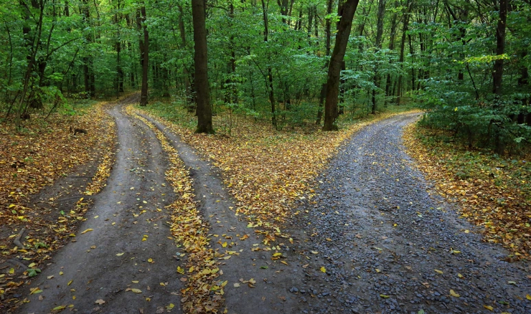 88db033769fea3385ba330e8d1f58aa0da294ad8