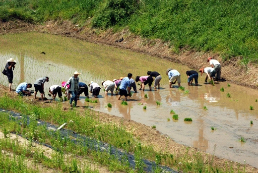 36d7fe8d694234f03956871ba468e214c501ecb5