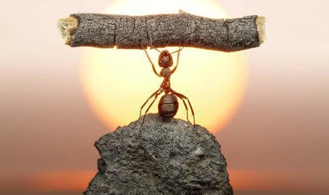 2c7ea71ac50522ed32950240243588eda8a4c337