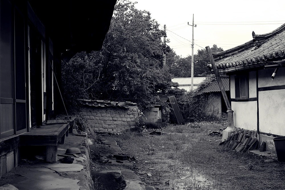 8c3c10deaa1ea83ed092d213fa0dc6d062cd5cd7