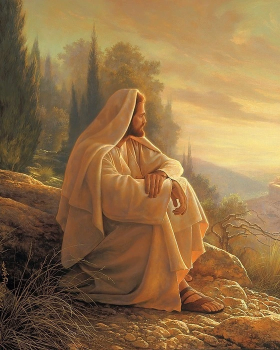 bc363d0d4533884cb849c9b1daf2b9dcfe197125