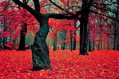 36fdc4bb0291baf177776dcd3c912185646a7faf