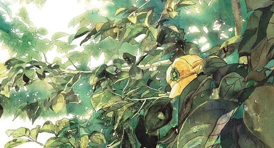 36485df17b2d527f86e8957e1031f28c36116bc6