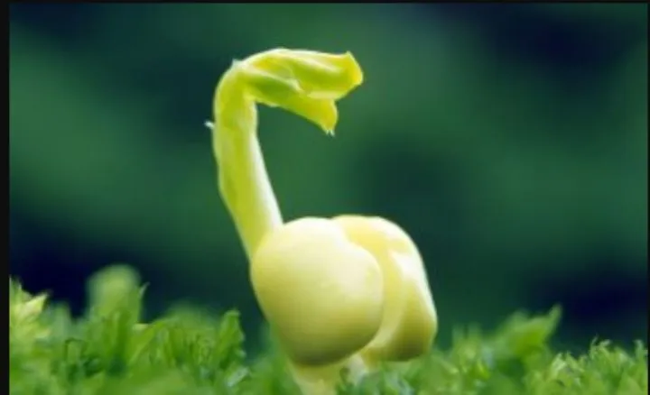 f484f9027236ebe386a56f9b17de2bec90273085