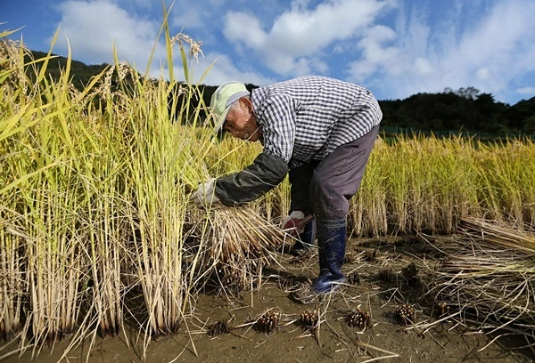 e9b6273c0a55af369ace1a164f7663f3fa30aa61