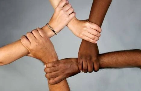 5018c911717d503c4a90cb9581d2c456eda53510