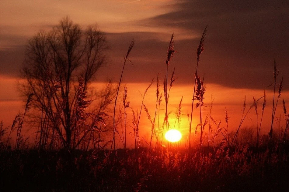 1534868047e1412be281e94cc6e58082b1a76d72