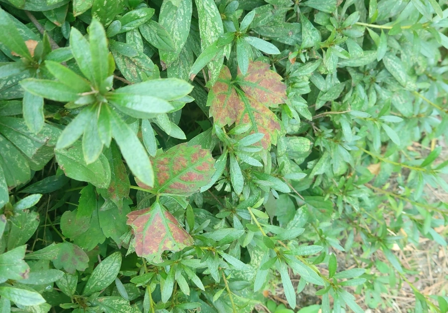 acpc3hAvNOePoFE_9MTfG4aDxhg