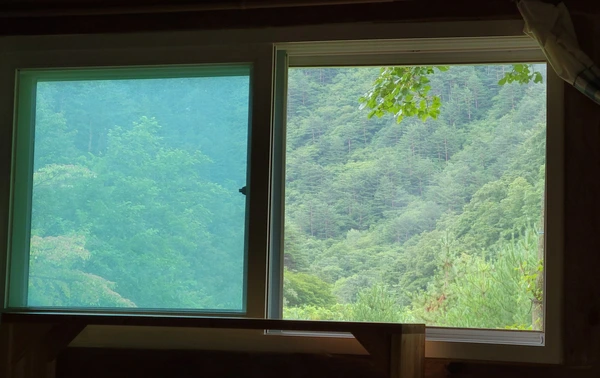 SE-eb2cf87b-b8ae-4bbf-a86f-984d8b947eac.jpg?type=w773