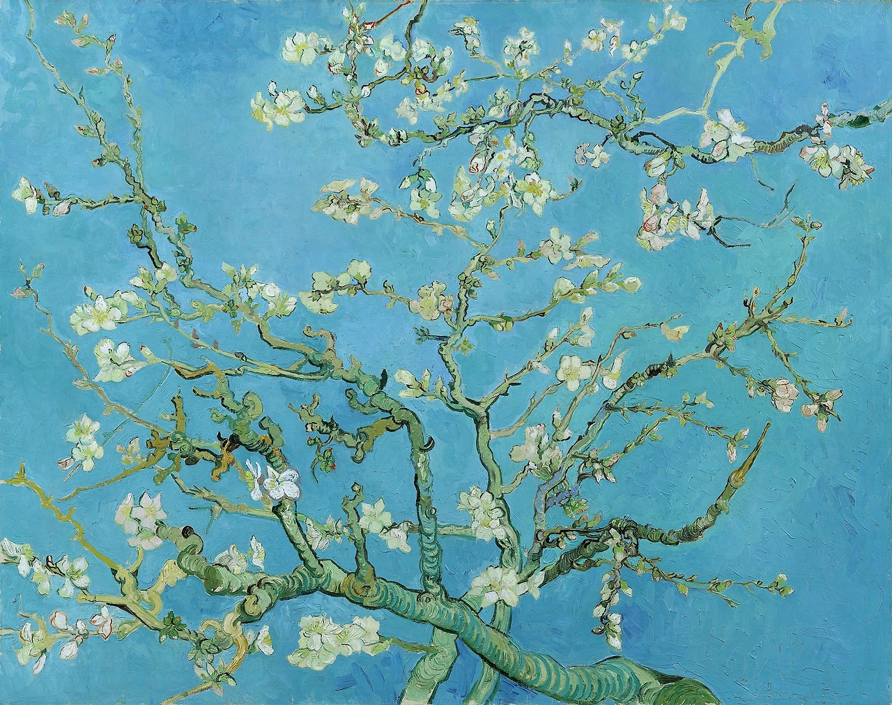 0 Vincent_van_Gogh_-_Almond_blossom_-_Google_Art_Project.jpg