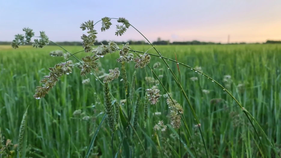 KakaoTalk_20200608_001803451_02.jpg?type=w1