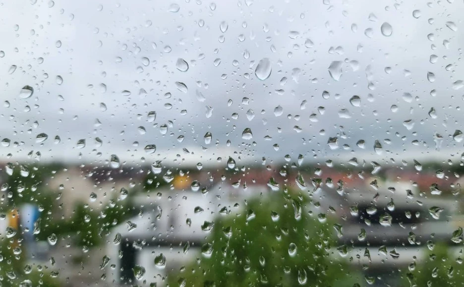 KakaoTalk_20200608_001803451.jpg?type=w1