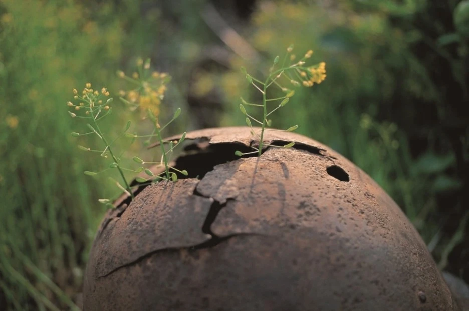 1113_dmz_6.jpg?type=w1