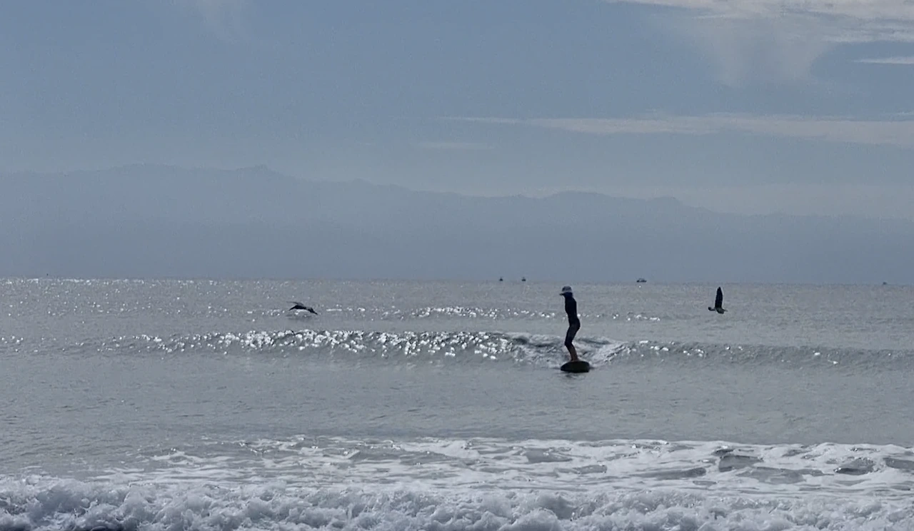 Screen Shot 2022-02-05 at 5.04.55 PM.PNG