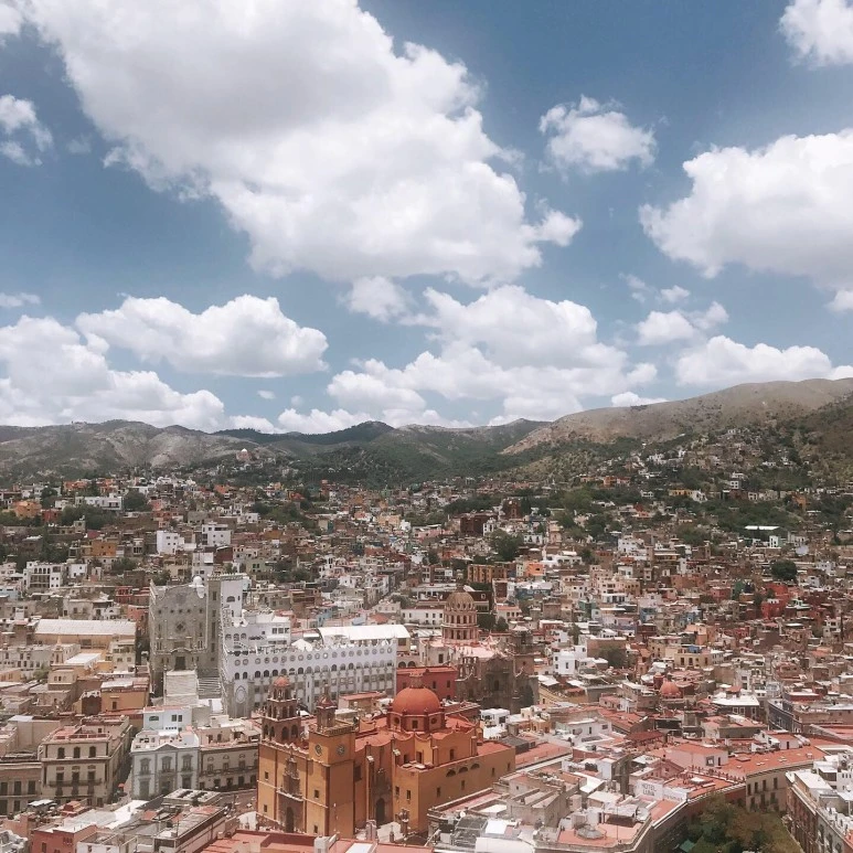 P20190712_101928037_27CDE526-0F5A-42FD-8A04-2DE25660A192.jpg?type=w773