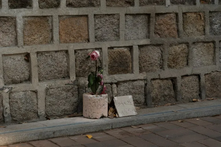 hoyoun-lee-uuvYCjMbOg0-unsplash.jpg?type=w773