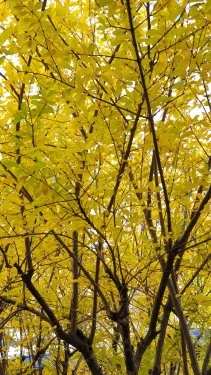 20201110_121052.jpg?type=m250_375