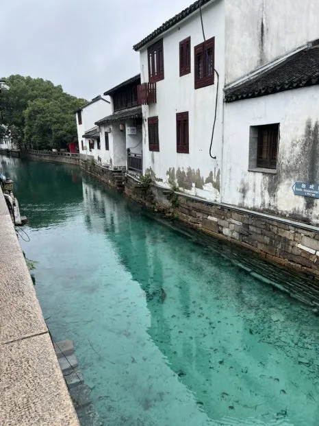 IMG_0915.jpg?type=w466