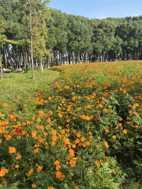 IMG_1203.jpg?type=w466