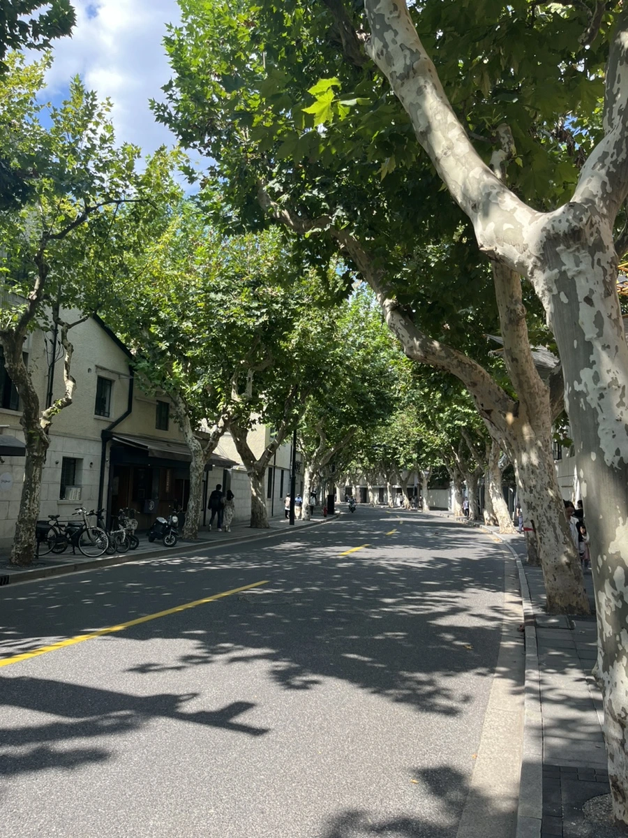 IMG_5817.jpg?type=w966