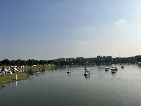 IMG_1209.jpg?type=w466