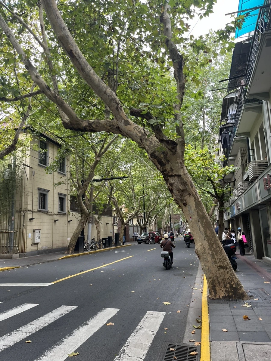 IMG_0688.jpg?type=w966