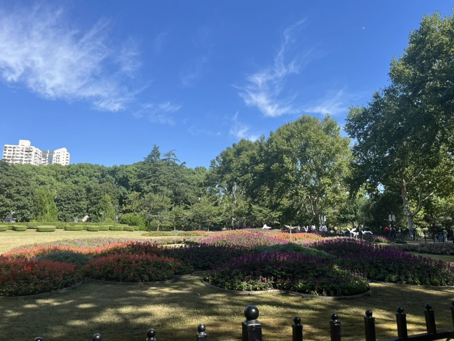 IMG_0026.jpg?type=w966