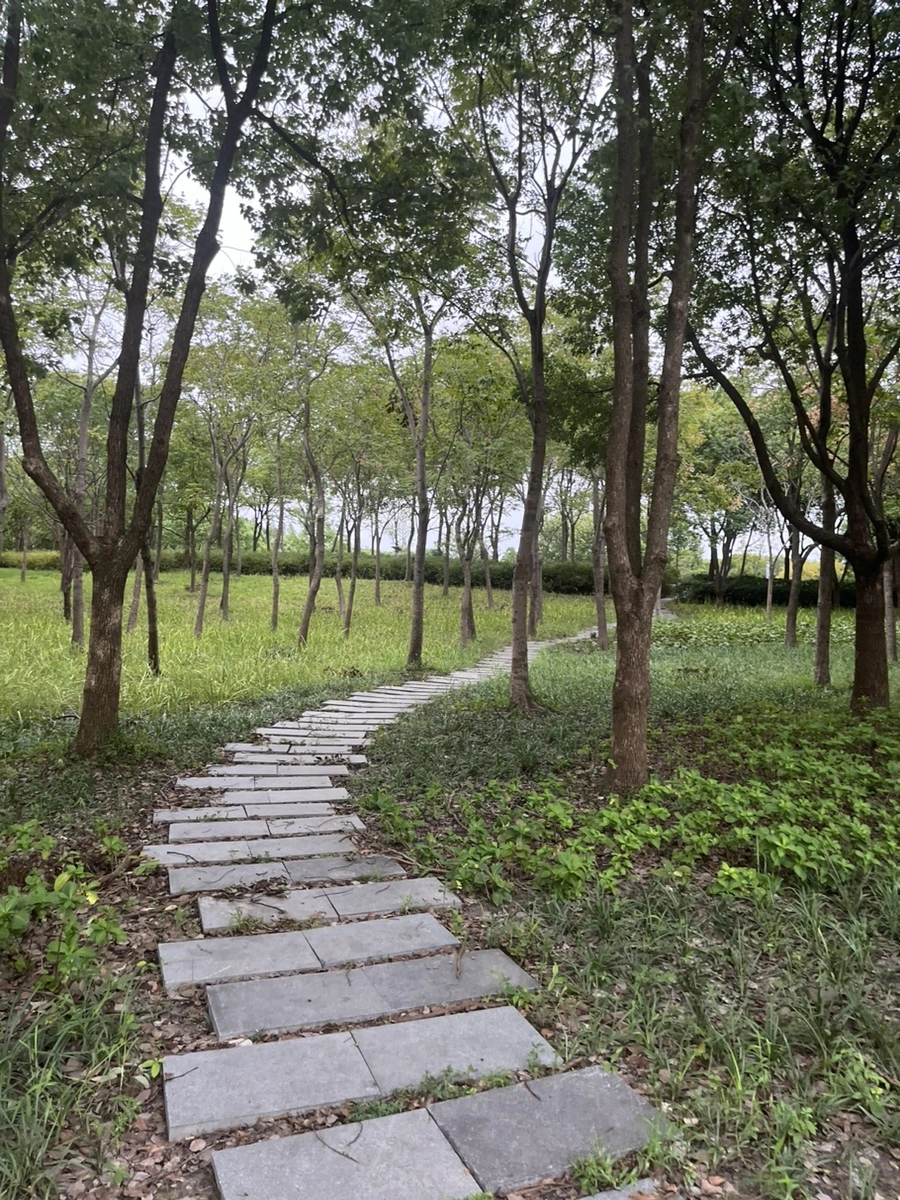 IMG_9306.jpg?type=w966