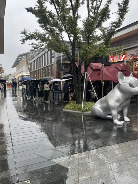 IMG_0996.jpg?type=w466